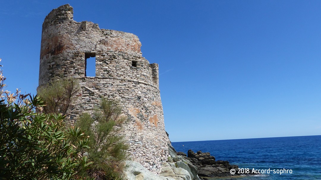 Historique de la sophrologie