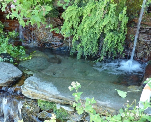 Présentation de la sophrologie