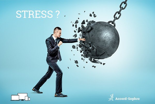 article stress séance Karaté stress séance